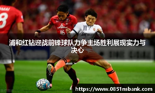 智博19有限公司