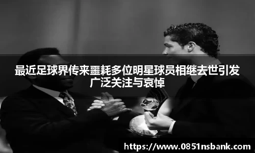 智博19有限公司