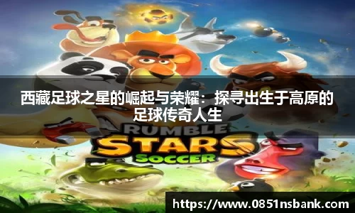 智博19有限公司