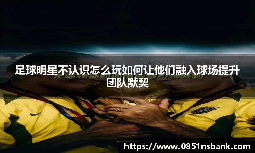 智博19有限公司